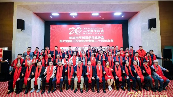 AG街机科技受邀参加深圳市平板显示行业协会（SDIA）第六届第四次理事会、第六届第三次会员大会暨二十周年庆典